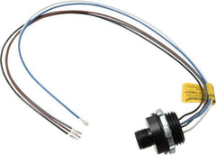 Brad Harrison - 4 Amp, M12 Male Straight Receptacle - 250 VAC/VDC, 0.31m Cable Length, IP67 Ingress Rating - Exact Tool & Supply
