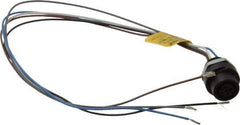 Brad Harrison - 4 Amp, M12 Female Straight Receptacle - 250 VAC/VDC, 0.31m Cable Length, IP67 Ingress Rating - Exact Tool & Supply
