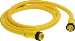 Brad Harrison - 7 Amp, Female Straight, Male Straight Cordset Sensor and Receptacle - 600 Volt, 1.83m Cable Length, IP67 Ingress Rating - Exact Tool & Supply