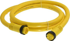 Brad Harrison - 7 Amp, Female Straight, Male Straight Cordset Sensor and Receptacle - 600 Volt, 1.83m Cable Length, IP67 Ingress Rating - Exact Tool & Supply