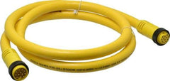 Brad Harrison - 5 Amp, Female Straight, Male Straight Cordset Sensor and Receptacle - 600 Volt, 1.83m Cable Length, IP67 Ingress Rating - Exact Tool & Supply
