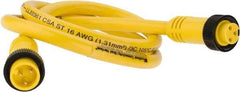 Brad Harrison - 13 Amp, Female Straight, Male Straight Cordset Sensor and Receptacle - 600 Volt, 0.91m Cable Length, IP67 Ingress Rating - Exact Tool & Supply