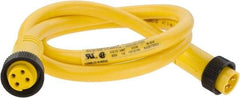 Brad Harrison - 10 Amp, Female Straight, Male Straight Cordset Sensor and Receptacle - 600 Volt, 0.91m Cable Length, IP67 Ingress Rating - Exact Tool & Supply