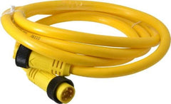 Brad Harrison - 10 Amp, Female Straight, Male Straight Cordset Sensor and Receptacle - 600 Volt, 1.83m Cable Length, IP67 Ingress Rating - Exact Tool & Supply