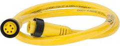 Brad Harrison - 8 Amp, Female Straight, Male Straight Cordset Sensor and Receptacle - 600 Volt, 0.91m Cable Length, IP67 Ingress Rating - Exact Tool & Supply