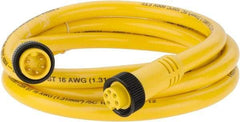 Brad Harrison - 8 Amp, Female Straight, Male Straight Cordset Sensor and Receptacle - 600 Volt, 1.83m Cable Length, IP67 Ingress Rating - Exact Tool & Supply