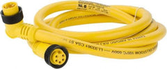 Brad Harrison - 8 Amp, Female 90° to Male 90° Cordset Sensor and Receptacle - 600 VAC/VDC, 6 Ft. Long Cable, IP68 Ingress Rating - Exact Tool & Supply