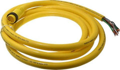 Brad Harrison - 5 Amp, Male Straight to Pigtail Cordset Sensor and Receptacle - 600 Volt, 3.66m Cable Length, IP67 Ingress Rating - Exact Tool & Supply