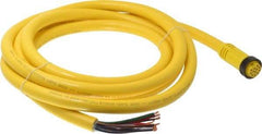 Brad Harrison - 5 Amp, Female Straight to Pigtail Cordset Sensor and Receptacle - 600 Volt, 3.66m Cable Length, IP67 Ingress Rating - Exact Tool & Supply