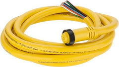Brad Harrison - 7 Amp, Female Straight to Pigtail Cordset Sensor and Receptacle - 600 Volt, 3.66m Cable Length, IP67 Ingress Rating - Exact Tool & Supply