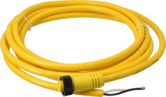 Brad Harrison - 13 Amp, Female Straight to Pigtail Cordset Sensor and Receptacle - 600 Volt, 3.66m Cable Length, IP67 Ingress Rating - Exact Tool & Supply