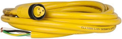 Brad Harrison - 13 Amp, Female Straight to Pigtail Cordset Sensor and Receptacle - 600 Volt, 3.66m Cable Length, IP67 Ingress Rating - Exact Tool & Supply