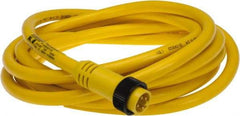 Brad Harrison - 10 Amp, Male Straight to Pigtail Cordset Sensor and Receptacle - 600 Volt, 3.66m Cable Length, IP67 Ingress Rating - Exact Tool & Supply
