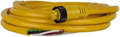 Brad Harrison - 10 Amp, Female Straight to Pigtail Cordset Sensor and Receptacle - 600 Volt, 3.66m Cable Length, IP67 Ingress Rating - Exact Tool & Supply