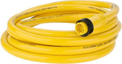 Brad Harrison - 8 Amp, Male Straight to Pigtail Cordset Sensor and Receptacle - 600 Volt, 3.66m Cable Length, IP67 Ingress Rating - Exact Tool & Supply