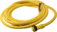 Brad Harrison - 8 Amp, Female Straight to Pigtail Cordset Sensor and Receptacle - 600 Volt, 3.66m Cable Length, IP67 Ingress Rating - Exact Tool & Supply