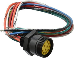 Brad Harrison - 7 Amp, Female Straight Receptacle - 600 VAC/VDC, 0.31m Cable Length, IP67 Ingress Rating - Exact Tool & Supply