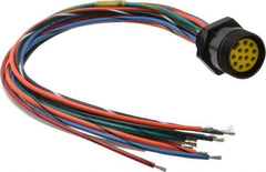 Brad Harrison - 8 Amp, Female Straight Receptacle - 600 VAC/VDC, 0.31m Cable Length, IP67 Ingress Rating - Exact Tool & Supply