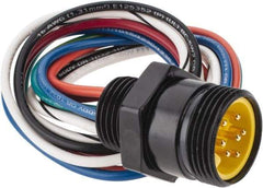 Brad Harrison - 8 Amp, Male Straight Receptacle - 600 VAC/VDC, 0.31m Cable Length, IP67 Ingress Rating - Exact Tool & Supply