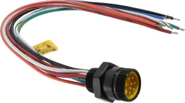 Brad Harrison - 7 Amp, Male Straight Receptacle - 600 VAC/VDC, 0.31m Cable Length, IP67 Ingress Rating - Exact Tool & Supply