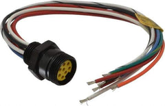 Brad Harrison - 7 Amp, Female Straight Receptacle - 600 VAC/VDC, 0.31m Cable Length, IP67 Ingress Rating - Exact Tool & Supply