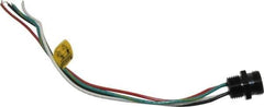 Brad Harrison - 10 Amp, Male Straight Receptacle - 600 VAC/VDC, 0.31m Cable Length, IP67 Ingress Rating - Exact Tool & Supply