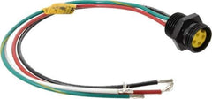 Brad Harrison - 10 Amp, Female Straight Receptacle - 600 VAC/VDC, 0.31m Cable Length, IP67 Ingress Rating - Exact Tool & Supply