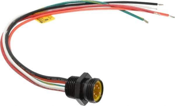 Brad Harrison - 8 Amp, Male Straight Receptacle - 600 VAC/VDC, 0.31m Cable Length, IP67 Ingress Rating - Exact Tool & Supply