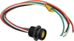 Brad Harrison - 8 Amp, Female Straight Receptacle - 600 VAC/VDC, 0.31m Cable Length, IP67 Ingress Rating - Exact Tool & Supply