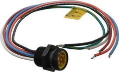 Brad Harrison - 8 Amp, Male Straight Receptacle - 600 VAC/VDC, 0.31m Cable Length, IP67 Ingress Rating - Exact Tool & Supply