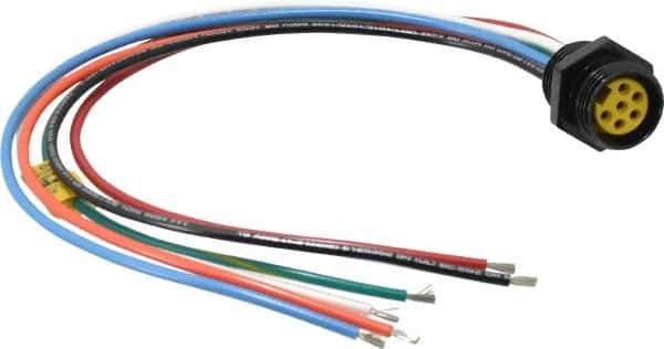 Brad Harrison - 8 Amp, Female Straight Receptacle - 600 VAC/VDC, 0.31m Cable Length, IP67 Ingress Rating - Exact Tool & Supply