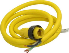 Brad Harrison - 18 Amp, Male Cordset Sensor and Receptacle - IP68 Ingress Rating - Exact Tool & Supply