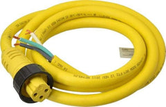 Brad Harrison - 18 Amp, Female Cordset Sensor and Receptacle - IP68 Ingress Rating - Exact Tool & Supply