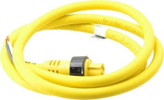 Brad Harrison - 15 Amp, Female Straight to Pigtail Cordset Sensor and Receptacle - 600 Volt, 1.83m Cable Length, IP67 Ingress Rating - Exact Tool & Supply
