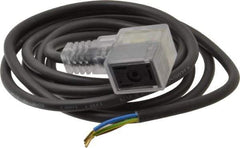 Parker - Solenoid Valve Lighted 3 Pin Connector - 22mm x 6 Ft. Cord - Exact Tool & Supply