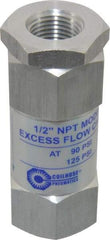 Coilhose Pneumatics - 1/2" Aluminum Check Valve - Inline, FPT x FPT - Exact Tool & Supply