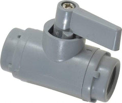 Specialty Mfr - 1/4" Pipe, PVC Standard Ball Valve - Inline - Two Way Flow, FNPT x FNPT Ends, Wedge Handle, 125 WOG - Exact Tool & Supply