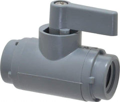 Specialty Mfr - 1/4" Pipe, PVC Standard Ball Valve - Inline - Two Way Flow, FNPT x FNPT Ends, Wedge Handle, 125 WOG - Exact Tool & Supply