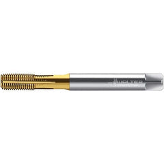 Walter-Prototyp - 1/4-28 UNF 2BX Semi-Bottoming Thread Forming Tap - High Speed Steel, TiN Finish, 80mm OAL - Exact Tool & Supply