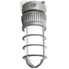 Philips - Hazardous Location Light Fixtures; Resistance Features: Heat Resistant Lens; Impact Resistance; Vaportight ; Recommended Environment: Cold Weather; Commercial; Damp Locations; Food Processing Location; Indoor/Outdoor; Industrial; Wet Locations - Exact Tool & Supply