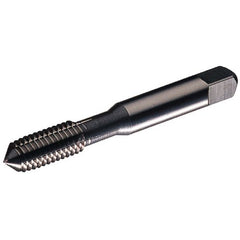 ‎17001 4-40 HS G H5 4L PLUG TAP - Exact Tool & Supply
