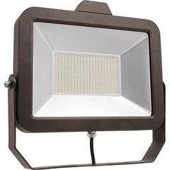 SYLVANIA - 1 Head 100 Watt 120-277 V Floodlight Fixture - Exact Tool & Supply