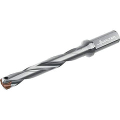 Walter - Replaceable-Tip Drills Series: D4140 Minimum Drill Diameter (mm): 23.00 - Exact Tool & Supply
