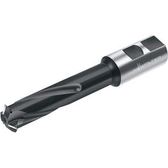 Walter - Indexable Thread Mills Cutting Diameter (mm): 24.00 Cutting Diameter (Decimal Inch): 0.9449 - Exact Tool & Supply
