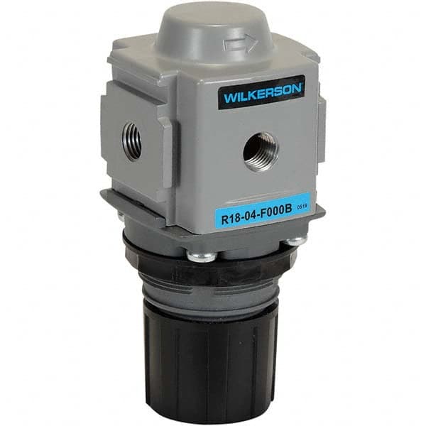 Wilkerson - Regulators Type: Common-P1 Regulator Port Size NPT: 1/2 - Exact Tool & Supply