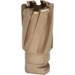 Hougen - 20mm Diam x 19mm Deep Carbide-Tipped Annular Cutter - Exact Tool & Supply