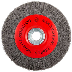 Norton - 10" OD, 3/4" Arbor Hole, Crimped Carbon Wheel Brush - Exact Tool & Supply