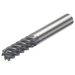 R215.24-04050BAC11H 1610 4mm 4 FL Solid Carbide End Mill - Corner Radius w/Cylindrical Shank - Exact Tool & Supply