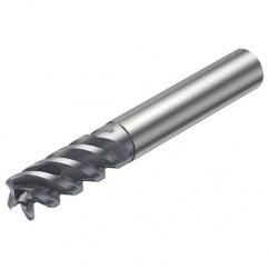 R216.24-12050GCC26P 1620 12mm 4 FL Solid Carbide End Mill - Corner Radius w/Cylindrical - Neck Shank - Exact Tool & Supply