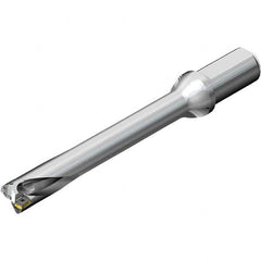 Sandvik Coromant - 195mm Max Drill Depth, 5xD, 39mm Diam, Indexable Insert Drill - Exact Tool & Supply